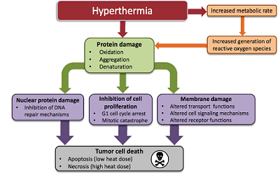 infrared therapy for cancer