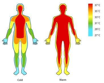 what does infrared light do to your body