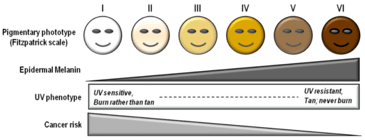 fitzpatrick scale for laser hair removal