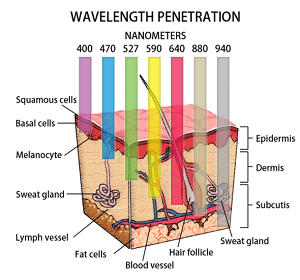 red light therapy wavelength in LED wraps