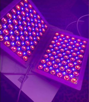 led light therapy panel for rosacea