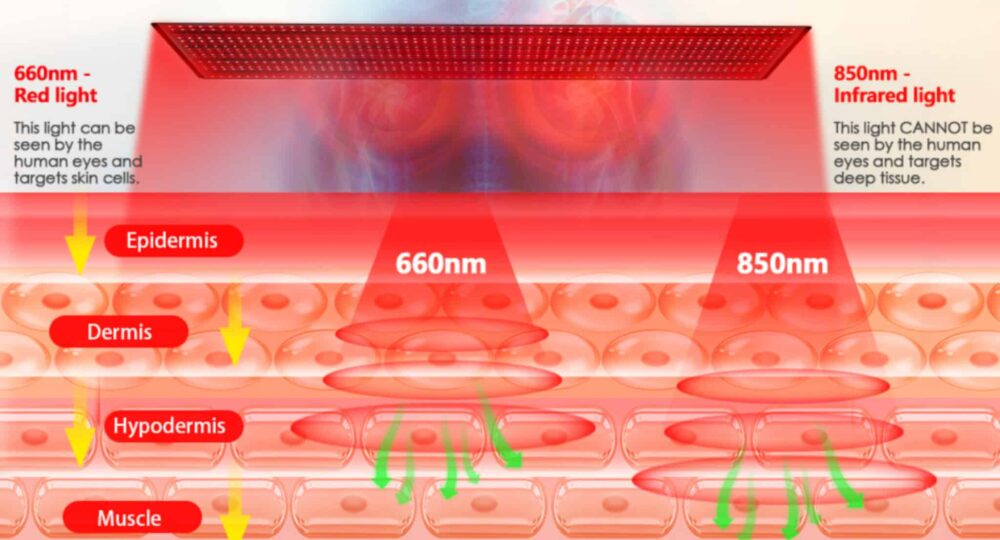 what does a red light therapy mat do to your body