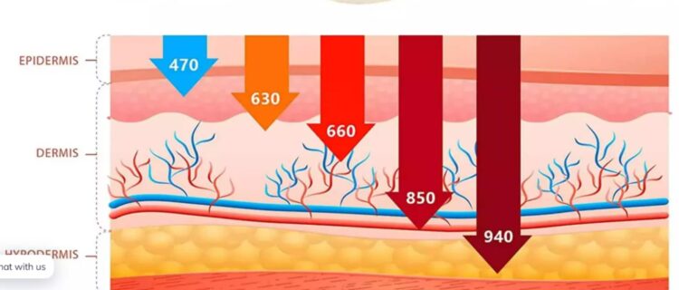 wavelengths inside 5 the UTK red light therapy device