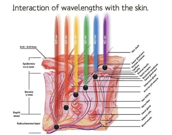 led light therapy color skin penetration