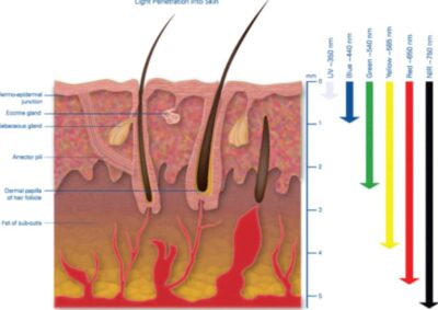 red light therapy penetration into the skin