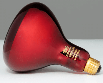 saunaspace fire light infrared bulb